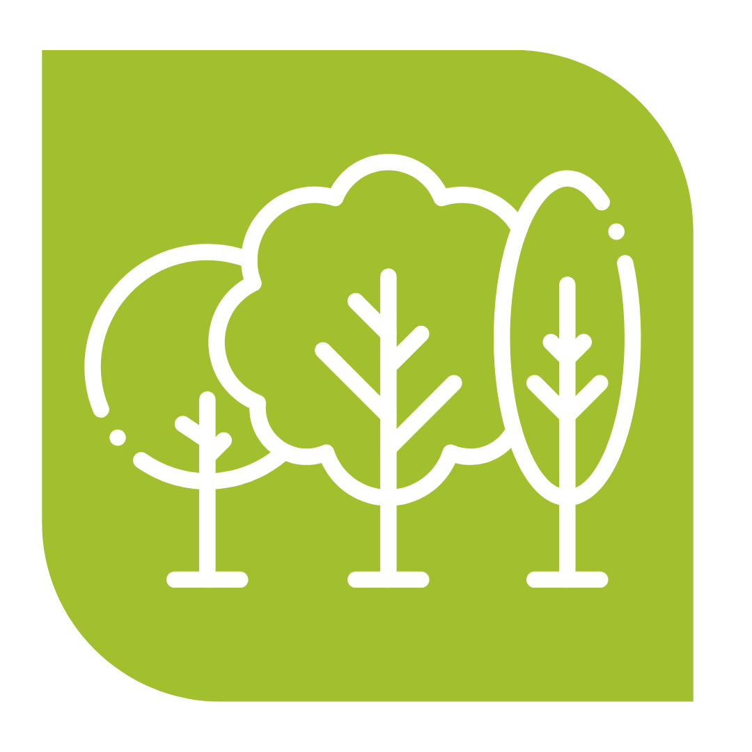 Contato com a Natureza